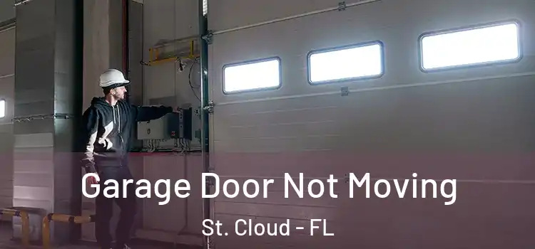  Garage Door Not Moving St. Cloud - FL