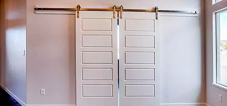 Glass Barn Door with Installation Hardware Kit St. Cloud