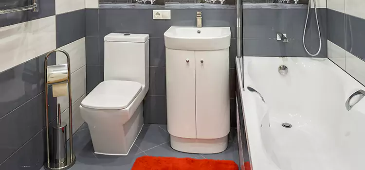 Hansgrohe Shaving Mirror St. Cloud